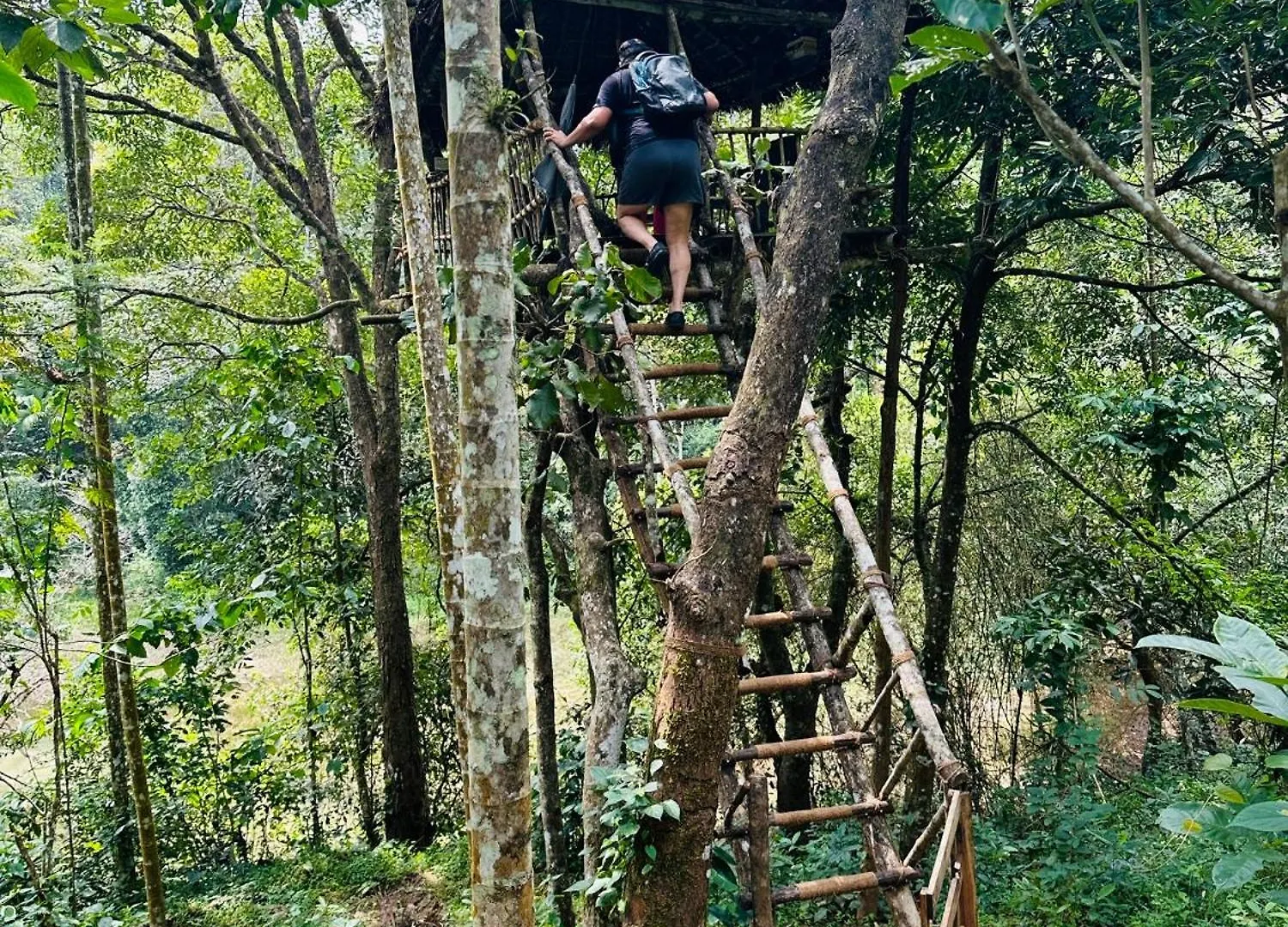 Drey At Druv Dakshin Farm Resort Padinjarathara 0*,