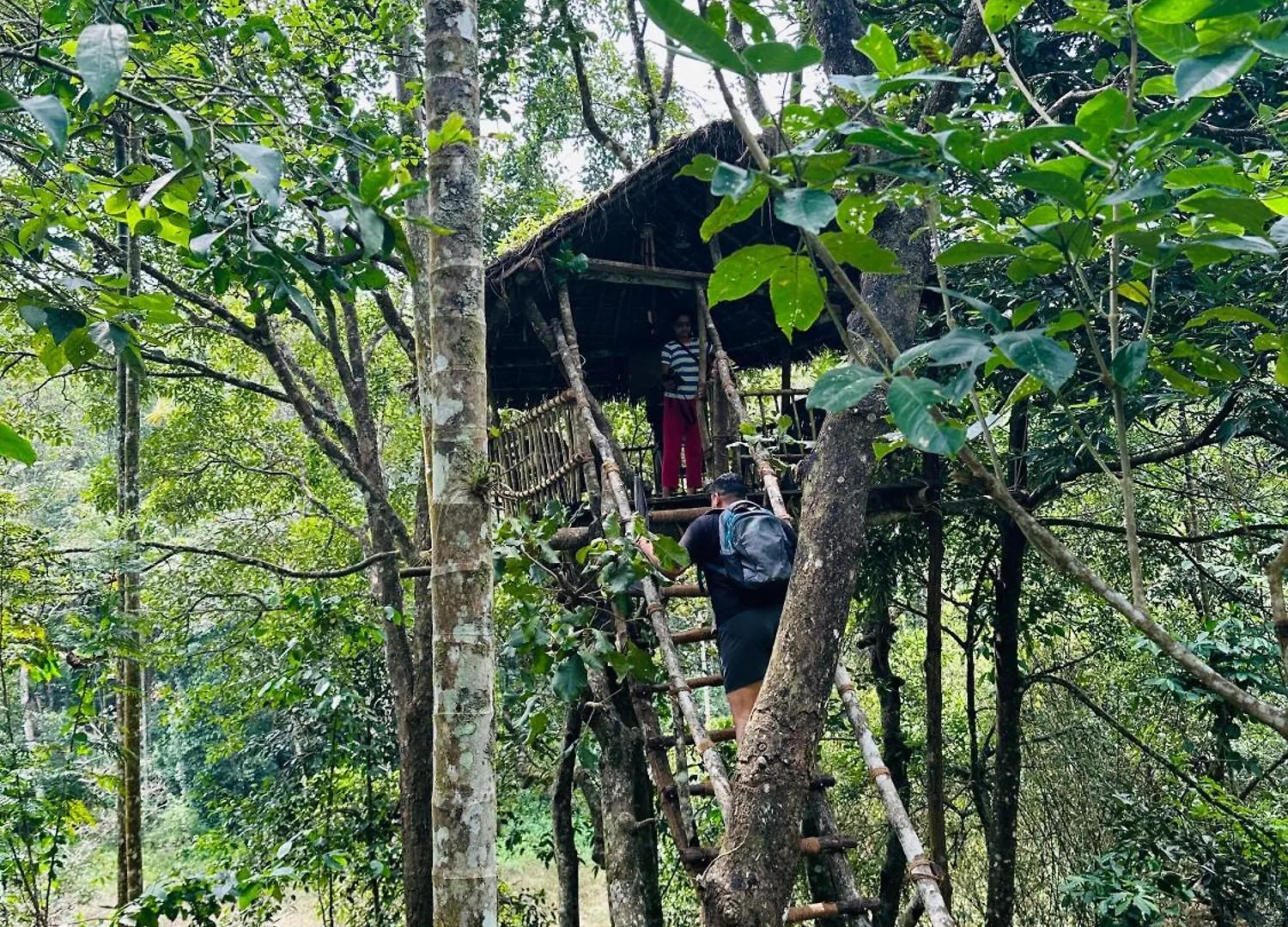 Drey At Druv Dakshin Farm Resort Padinjarathara